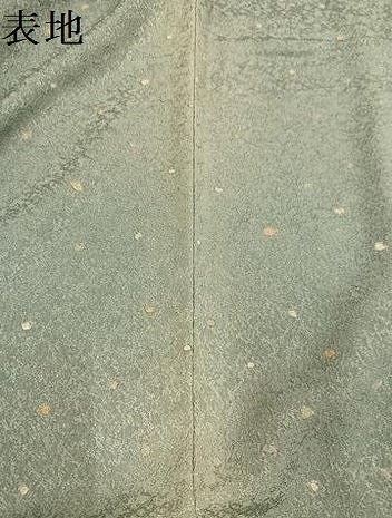 平和屋着物●訪問着　作家物　本苔染　草花文　暈し染め　金彩　正絹　逸品　AABI8588ph
