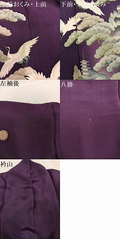 平和屋着物●アンティーク　大正ロマン　色留袖　両褄　飛鶴風景草花文　正絹　逸品　AABI8619ph
