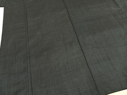 平和屋着物●男性 本場大島紬 アンサンブル 100亀甲 総詰め キングサイズ 正絹 逸品 AABI8905fy