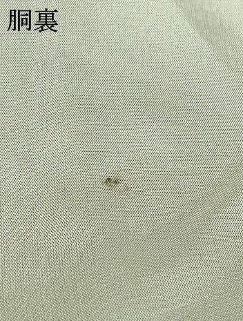 平和屋着物●訪問着 草花文 暈し染め 三越扱い 正絹 逸品 AABI8947fy