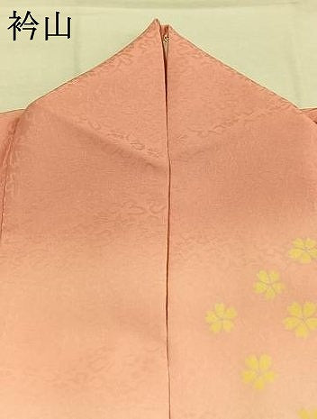 平和屋着物●小振袖　二尺袖　草花文　暈し染め　AABI8999fy