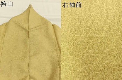 平和屋着物●上質な色無地　寿光織　花尽くし地紋　淡黄色　反端付き　正絹　逸品　AABI9014fy