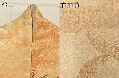 平和屋着物●希少　人間国宝　堰出し友禅　田島比呂子　振袖　草葉文　暈し染め　金銀糸　西武百貨店扱い　正絹　逸品　AABI9042fy