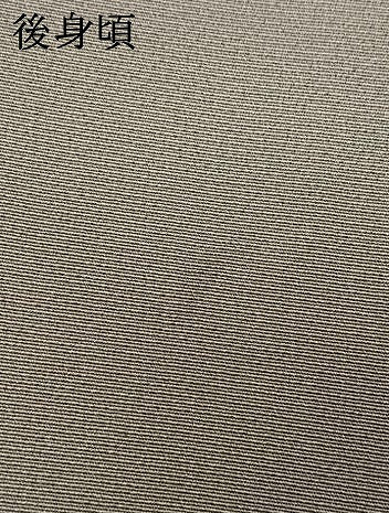 平和屋着物●豪華色留袖　手描き　色紙重ね花鳥文　暈し染め　正絹　逸品　AABI9098fy