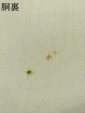 平和屋着物●訪問着　紬地　手描き　草花文　正絹　逸品　AABI9144fy