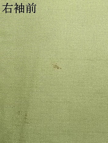 平和屋着物●訪問着　紬地　友禅　作家物　草花文　暈し染め　正絹　逸品　AABI9152fy