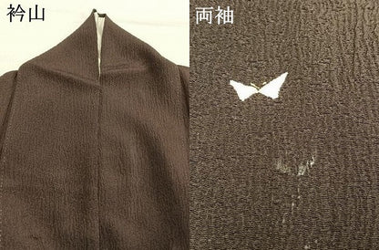 平和屋着物●日本舞踊家 岩井流宗元　岩井友見　訪問着　舞蝶文　金糸　丹後ちりめん　反端付き　正絹　逸品　AABI9156fy