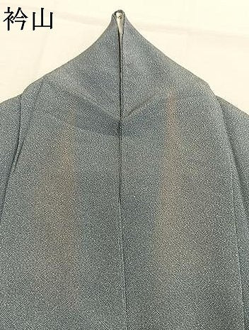 平和屋着物●伝統工芸師　服部光擴　江戸小紋　鮫小紋柄　正絹　逸品　AABI9239fy