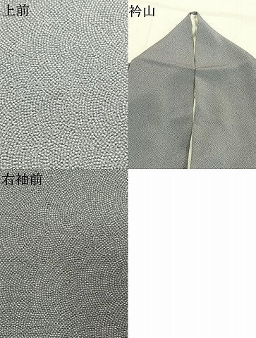 平和屋着物●江戸小紋　鮫小紋柄　鬼しぼ縮緬　正絹　逸品　AABI9251fy
