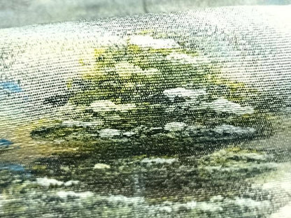 平和屋着物●訪問着　作家物　手描き　樹林文　暈し染め　正絹　逸品　未使用　AABI9347fy