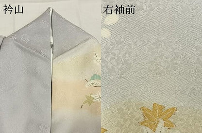 平和屋着物●訪問着　駒刺繍　草花文　暈し染め　金彩　ロング丈　正絹　逸品　AABI9415fy