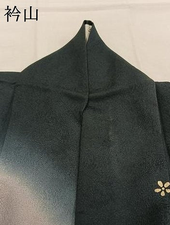 平和屋着物●訪問着　作家物　舞花文　暈し染め　金彩　正絹　逸品　AABI9418fy