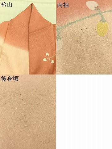 平和屋着物●訪問着　友禅　作家物　枝花文　暈し染め　正絹　逸品　AABI9422fy