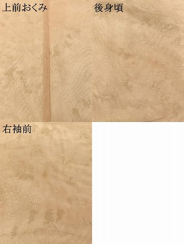 平和屋着物▽上質な小紋　無双　紗袷　紗×紗　草花文　金銀彩　正絹　逸品　AABI9556jh