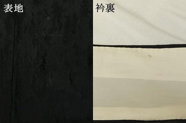 平和屋着物▽訪問着　単衣　南天文　鶴　金彩　正絹　逸品　AABI9618jh