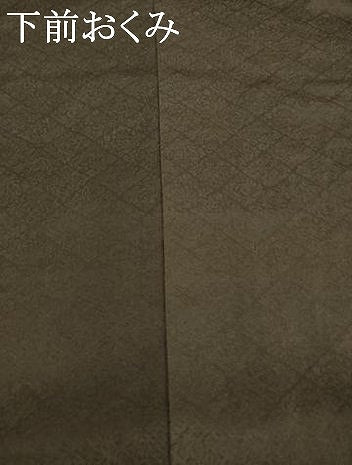 平和屋着物●訪問着　駒刺繍　南天文　金彩　正絹　逸品　AABI9653ck