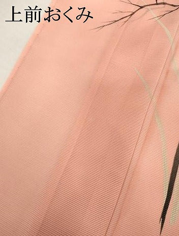平和屋着物＊夏物　訪問着　絽　手描き　枝花文　暈し染め　洗える着物　AABI9749cs