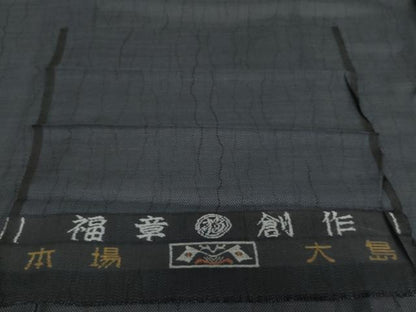 平和屋着物＊夏物　銀座きしや　本場大島紬　夏大島　9マルキ　よろけ縞　福章創作　たとう紙付き　反端付き　正絹　逸品　AABI9752cs