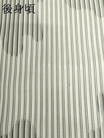 平和屋着物＊夏物　お召　縦絽　霞文　正絹　逸品　未使用　AABI9774cs