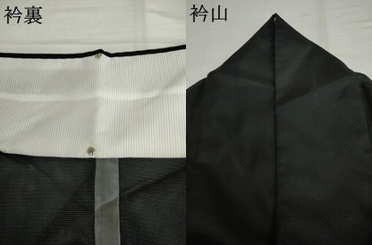 平和屋着物＊夏物　訪問着　絽　御所車人物風景文　黒地　金彩　洗える着物　AABI9780cs