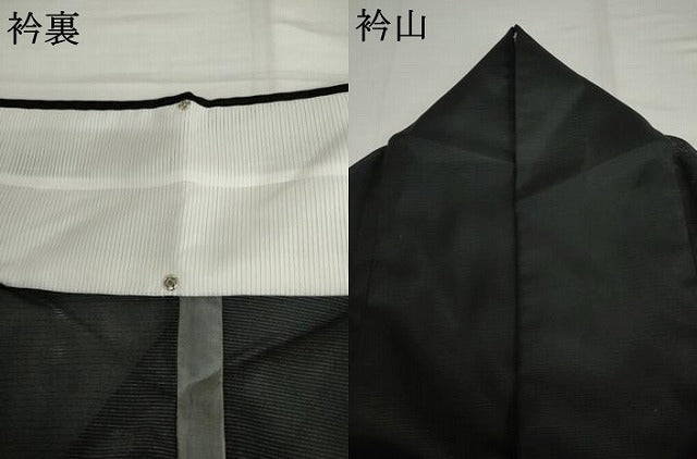 平和屋着物＊夏物　訪問着　絽　御所車人物風景文　黒地　金彩　洗える着物　AABI9780cs