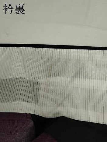 平和屋着物＊夏物　小紋　風通紗　横笛　黒地　正絹　逸品　AABI9806cs