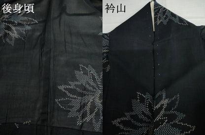 平和屋着物＊夏物　紗紬　舞花文　濃紺地　正絹　逸品　AABI9811cs