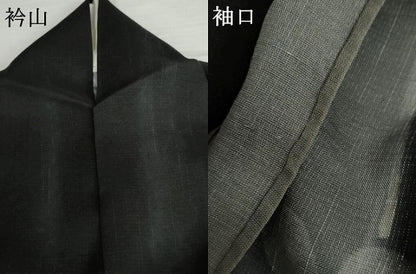 平和屋着物＊夏物　訪問着　紗紬　枝葉文　黒地　金彩　正絹　逸品　AABI9822cs