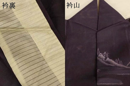 平和屋着物＊夏物 小紋 紗 風景文 正絹 逸品 AABI9868jd