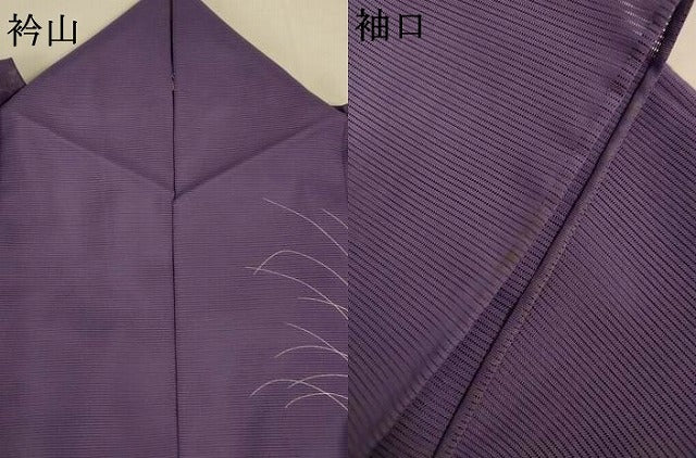 平和屋着物＊夏物 訪問着 絽 扇子箔散らし文 金銀彩 洗える着物 AABI9869jd