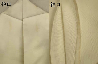 平和屋着物＊夏物 訪問着 絽 草花文 洗える着物 AABI9875jd