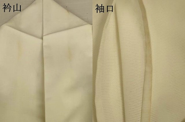 平和屋着物＊夏物 訪問着 絽 草花文 洗える着物 AABI9875jd