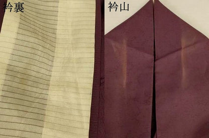 平和屋着物＊夏物 色無地 絽 霞紋紗 黒鳶色 正絹 逸品 AABI9881jd