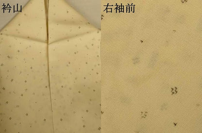 平和屋着物＊夏物　小紋　紗　粋紗絣　霞間道　証紙付き　正絹　逸品　AABI9905jd