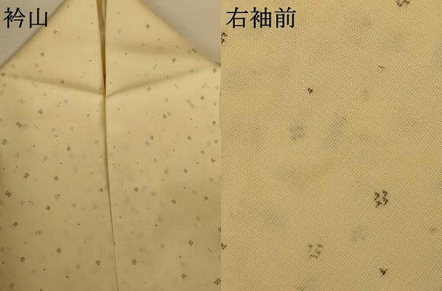 平和屋着物＊夏物　小紋　紗　粋紗絣　霞間道　証紙付き　正絹　逸品　AABI9905jd