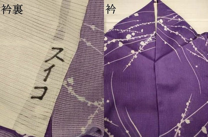 平和屋着物＊夏物　小紋　絽　露芝文　洗える着物　AABI9907jd