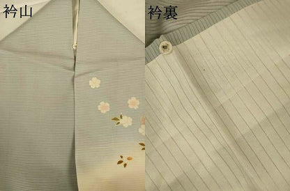 平和屋着物＊夏物 訪問着 絽 風景草花文 暈し染め 金彩 正絹 逸品 AABI9916jd