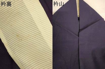 平和屋着物＊夏物　紗紬　色無地　草葉紋紗　黒紅色　正絹　逸品　AABI9939jd