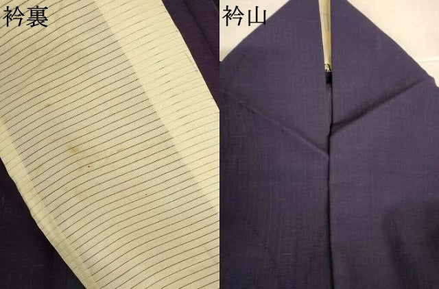 平和屋着物＊夏物　紗紬　色無地　草葉紋紗　黒紅色　正絹　逸品　AABI9939jd