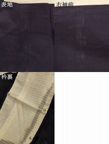 平和屋着物＊夏物　色留訪問着　絽縮緬　千鳥　正絹　逸品　AABI9941jd