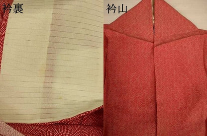平和屋着物＊夏物　江戸小紋　絽　鮫小紋柄　正絹　逸品　AABI9946jd