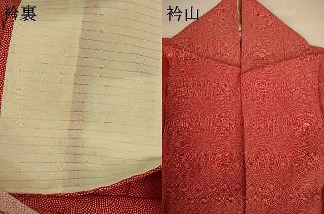 平和屋着物＊夏物　江戸小紋　絽　鮫小紋柄　正絹　逸品　AABI9946jd