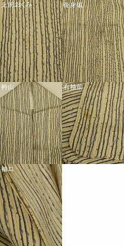 平和屋着物＊夏物 染師 吉江明 江戸小紋 竪駒絽 変わり縞 反端付き 正絹 逸品 AABI9950jd
