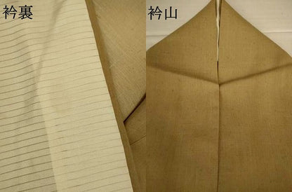 平和屋着物＊夏物　訪問着　紗紬　木賊　暈し染め　銀彩　正絹　逸品　AABI9954jd