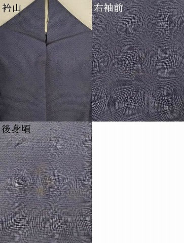 平和屋着物＊夏物　江戸小紋　彫士：住田双光・染士：服部光擴　絽　鮫小紋柄　正絹　逸品　AABI9960jd