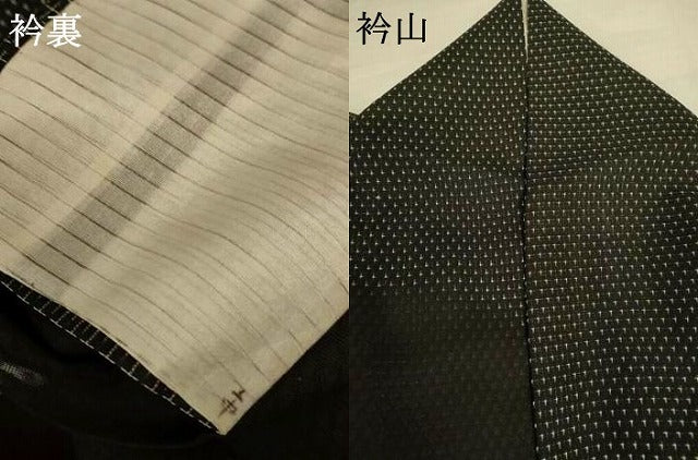 平和屋着物＊夏物　訪問着　お召　紗　雪輪文　黒地　正絹　逸品　AABI9977jd