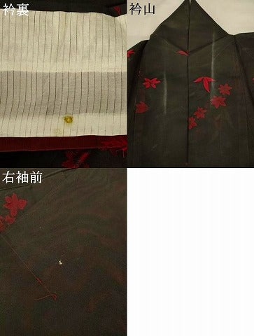 平和屋着物＊夏物　小紋　紗　舞花文　黒地　正絹　逸品　AABI9994jd