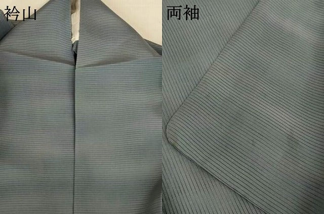 平和屋着物＊夏物　虹色創家　本郷大田子　小紋　絽　霞文　暈し染め　ロング丈　正絹　逸品　AABI9996jd