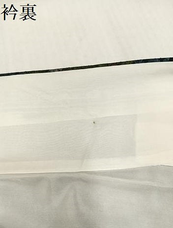 平和屋着物●小千谷紬　草花文　正絹　逸品　AABJ0037ph