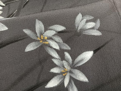 平和屋着物●訪問着　手描き　草花文　金彩　鬼しぼ縮緬　正絹　逸品　AABJ0078ph